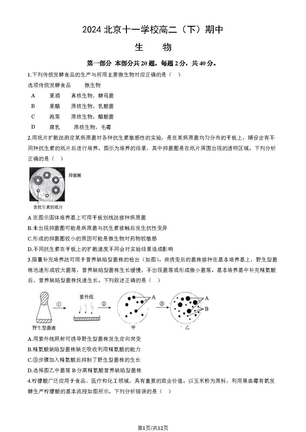 2023-2024学年北京十一学校高二下学期期中生物试题及答案