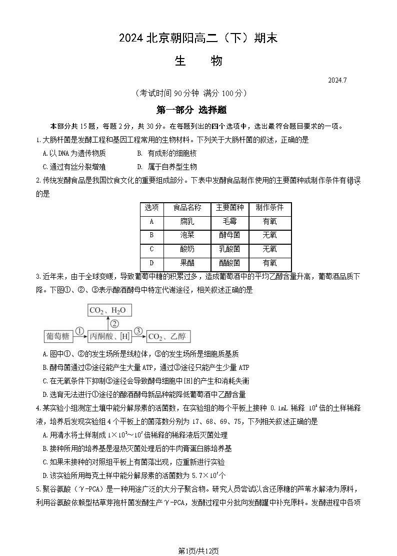 2024北京朝阳区高二下学期期末生物试题及答案