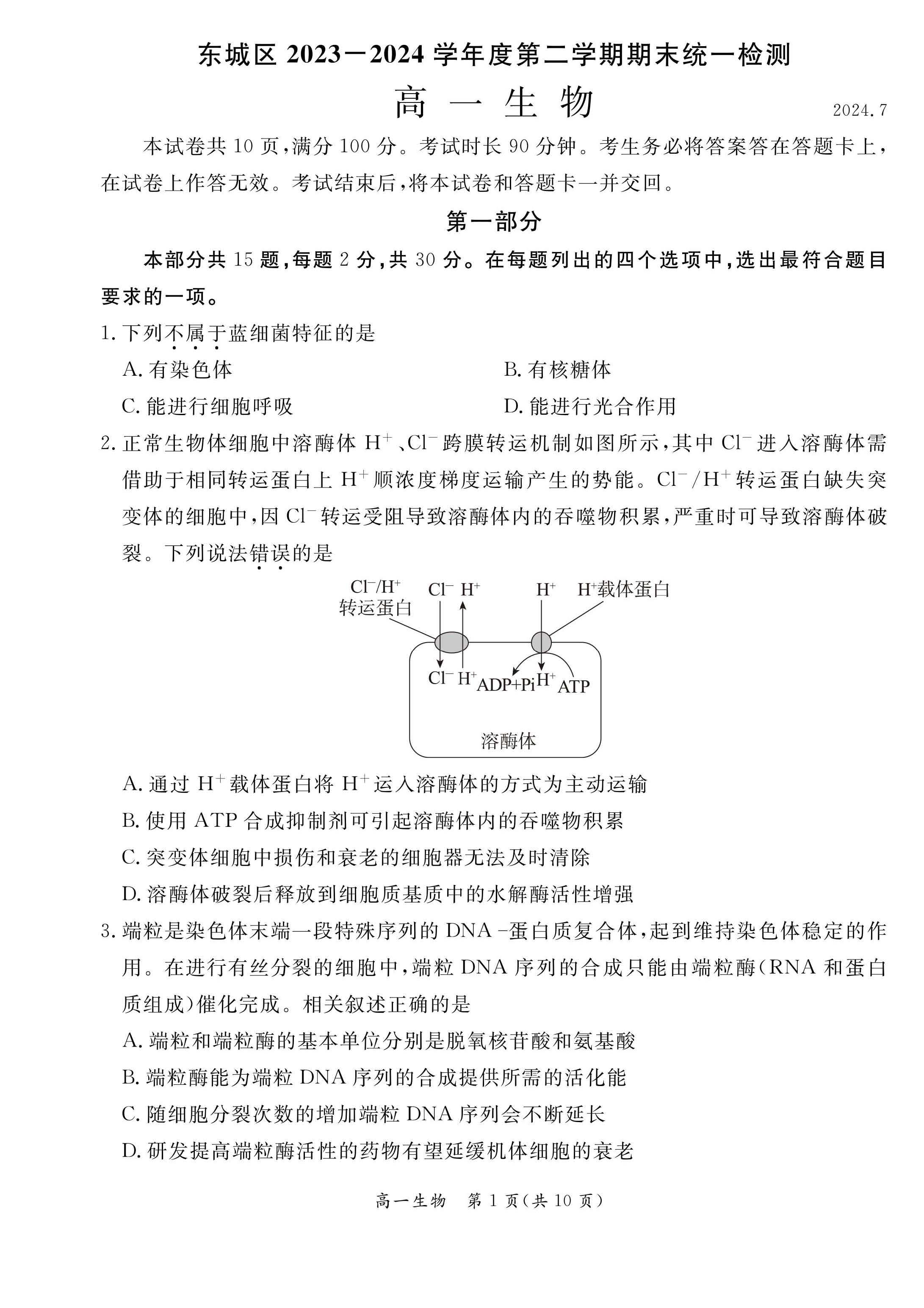 2023-2024学年北京东城区高一下学期期末生物试题及答案