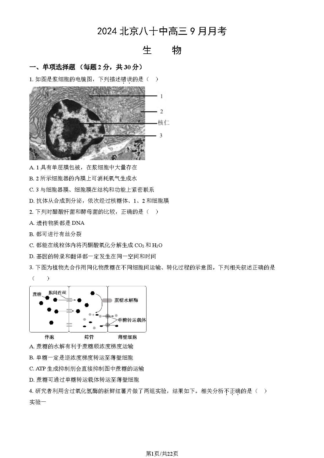 2025北京八十中高三9月月考生物试题及答案