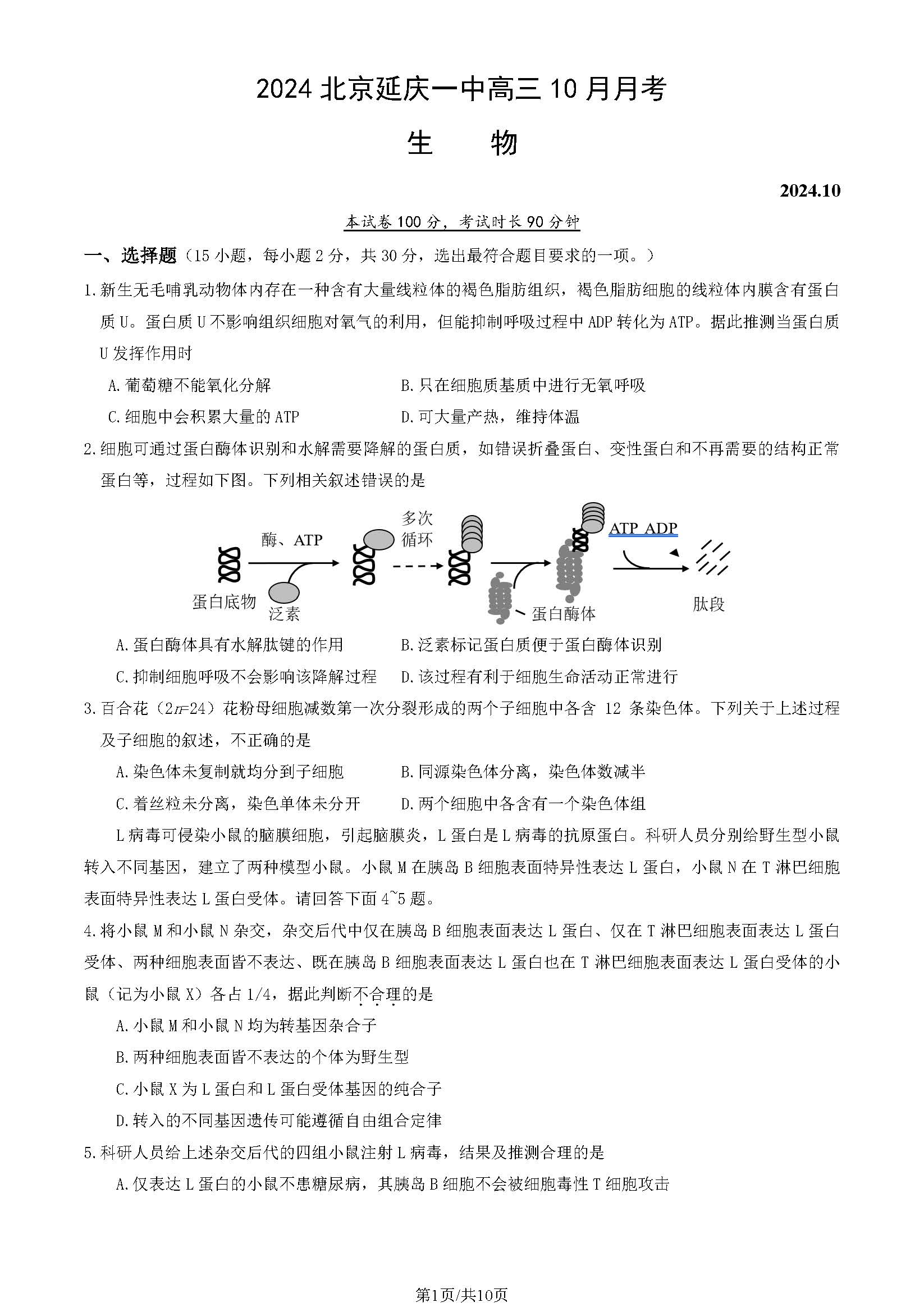 2025北京延庆一中高三10月月考生物试题及答案