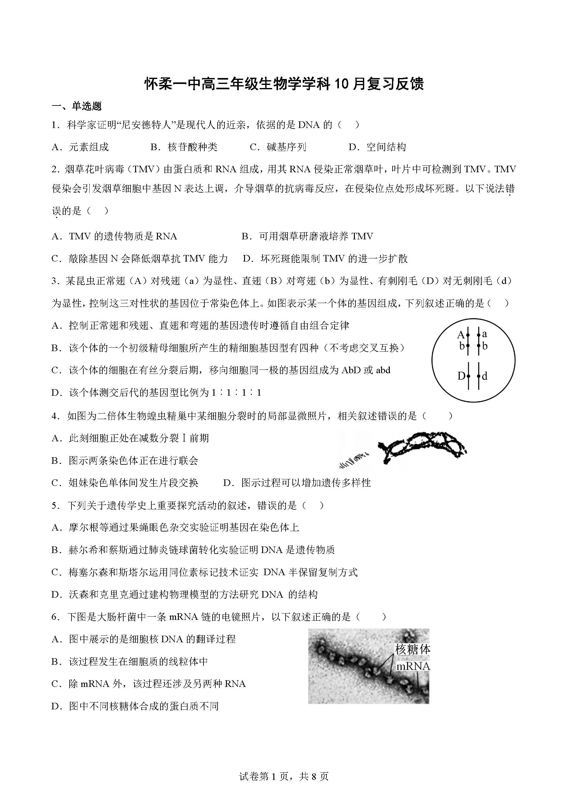 2024-2025学年北怀柔一中高三10月月考生物试题及答案