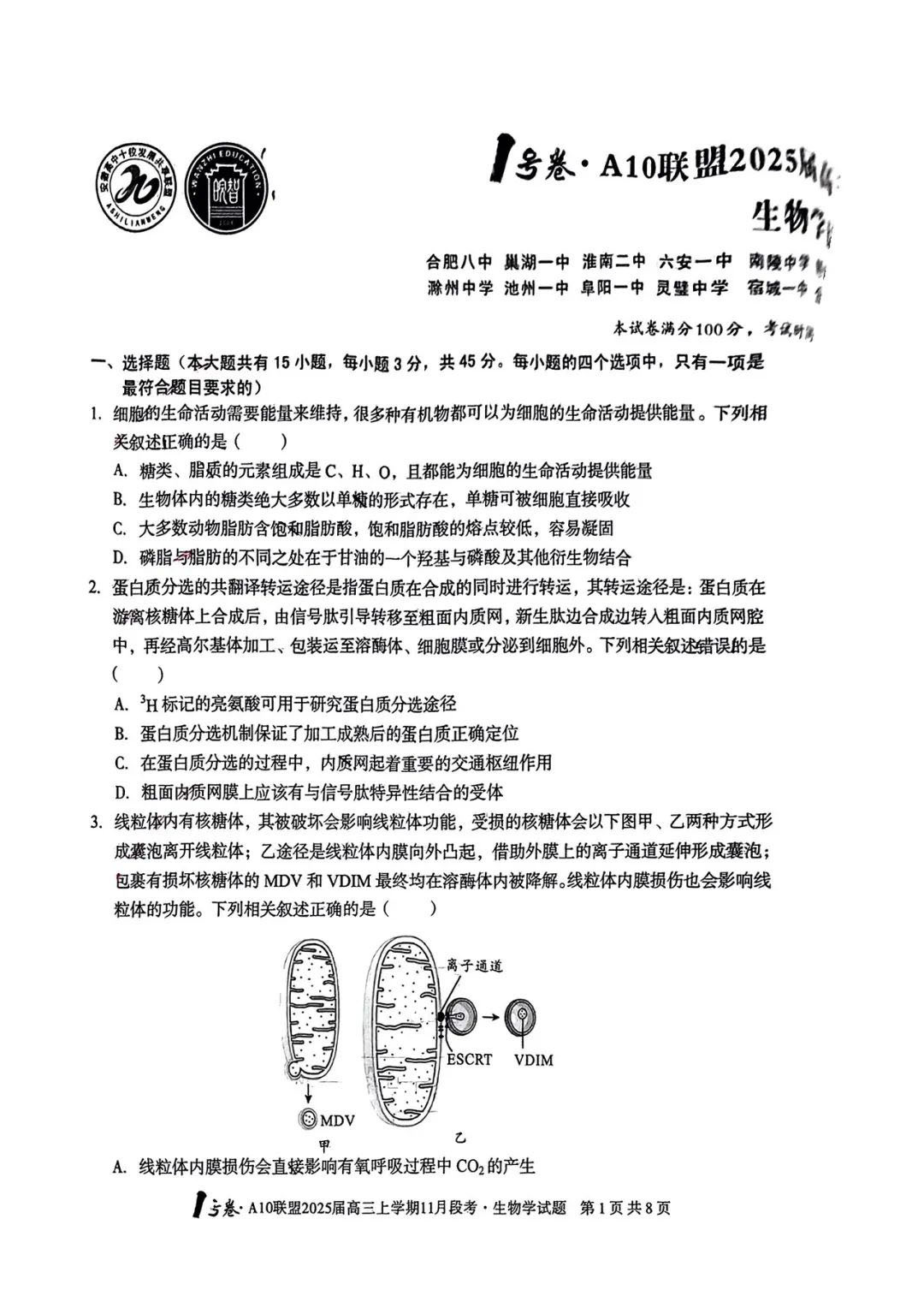 2025届安徽A10联盟高三11月份联考生物试题及答案