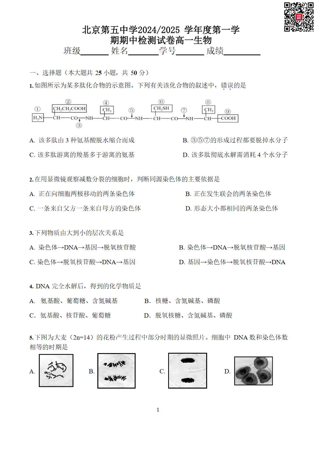 2024-2025学年北京五中高一期中生物试题及答案