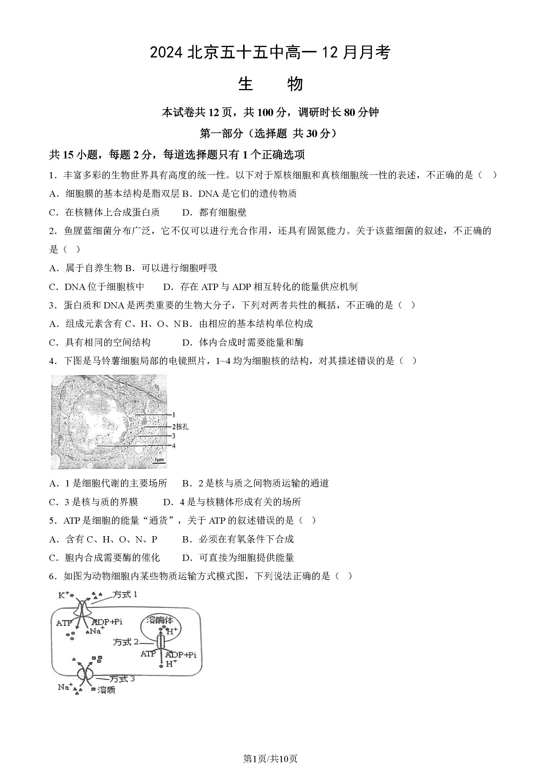 2024年北京五十五中高一12月月考生物试题及答案