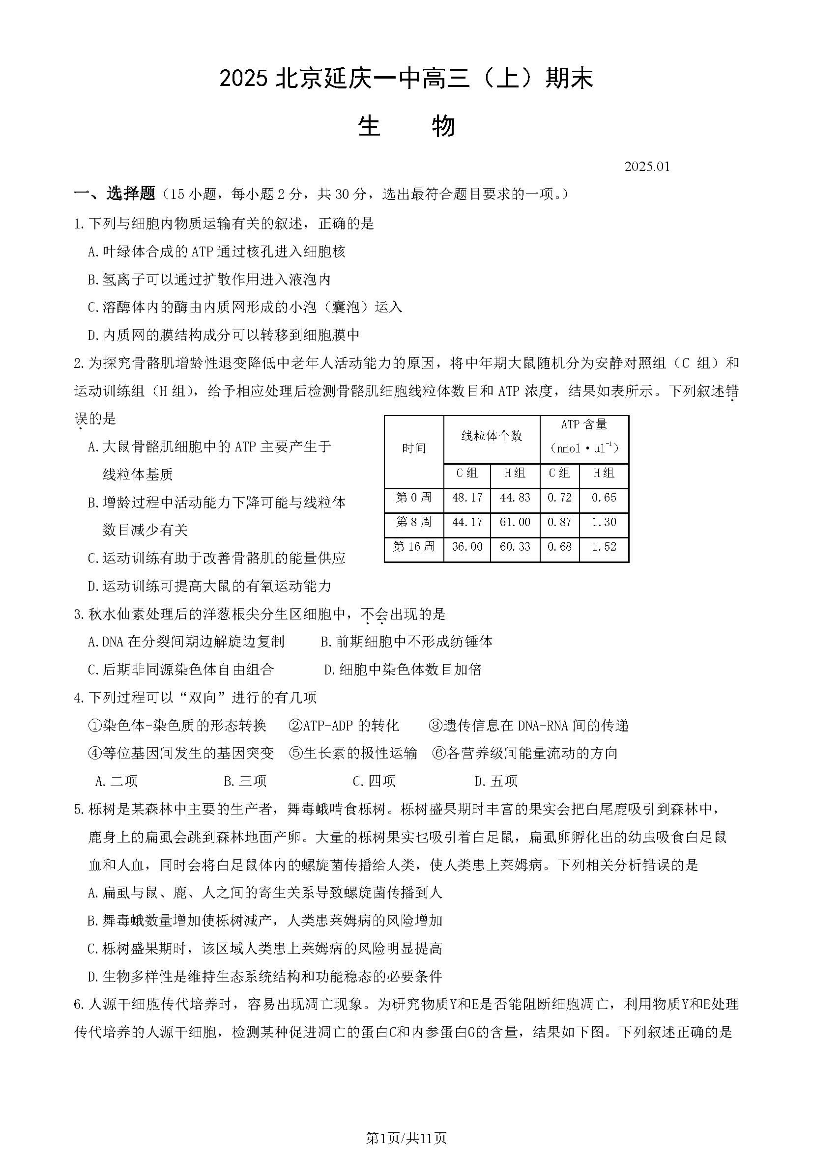 2024-2025学年北京延庆一中高三期末生物试题及答案