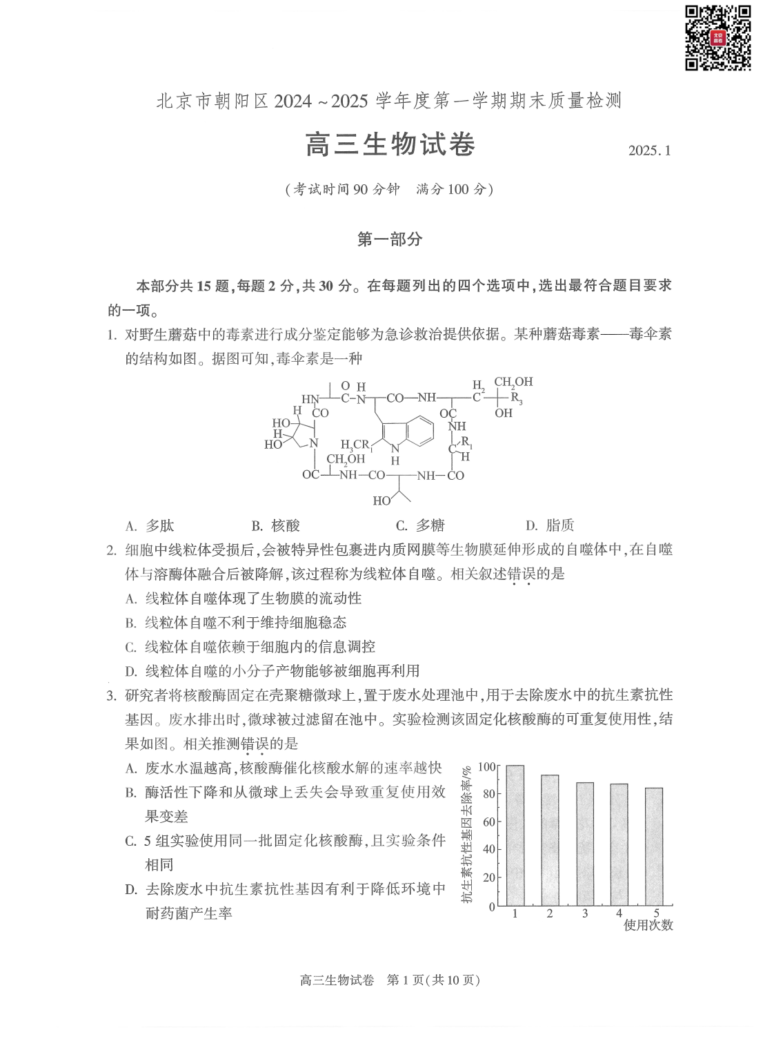 2024-2025学年北京朝阳区高三期末生物试题及答案