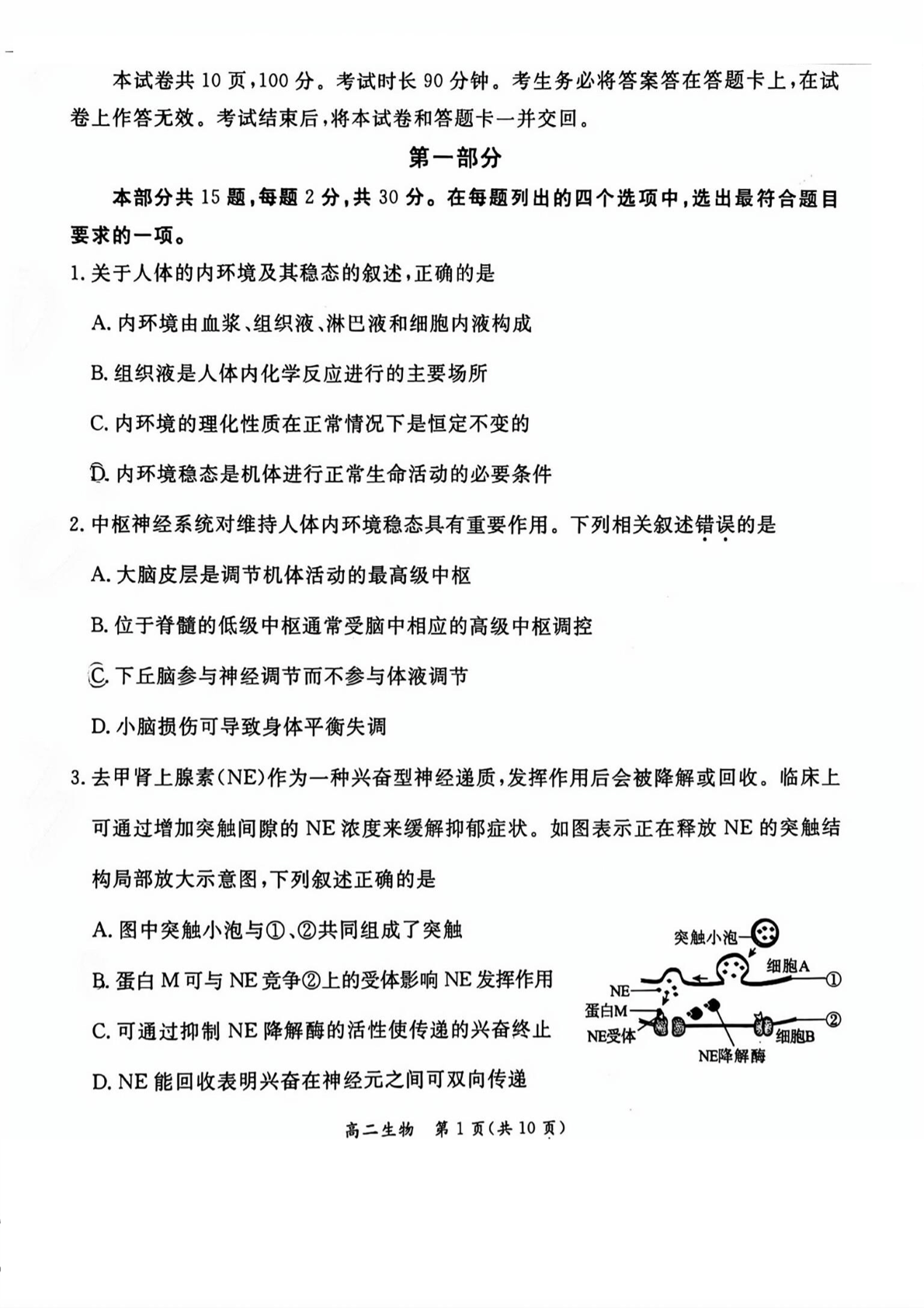 2024-2025学年北京东城区高二上学期期末生物试题及答案