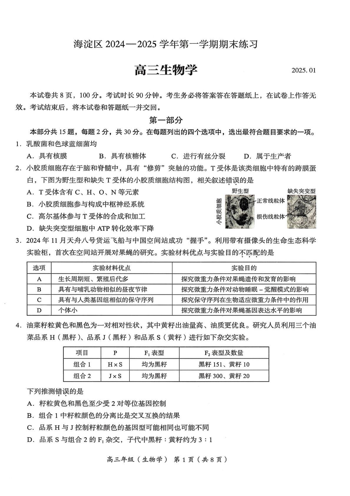 2024-2025学年北京海淀区高三期末生物试题及答案