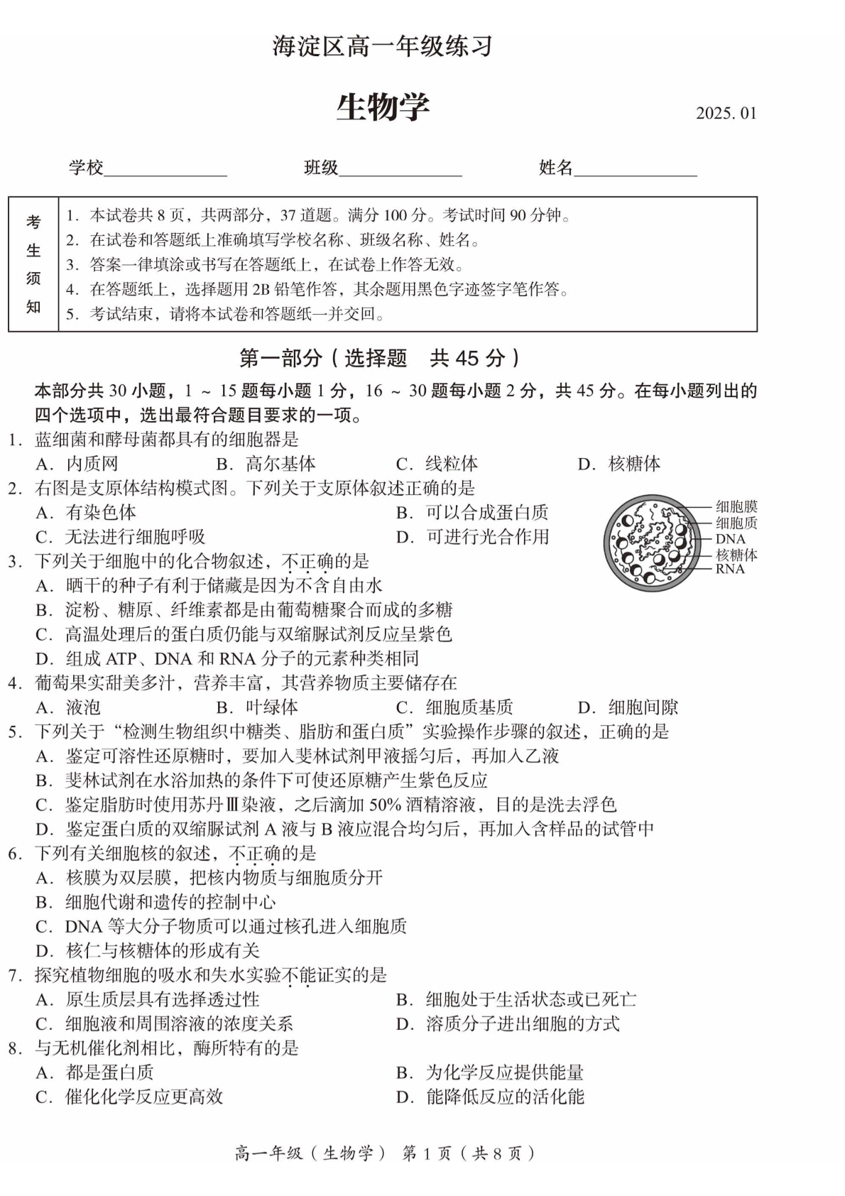 2024-2025学年北京海淀高一期末生物试题及答案