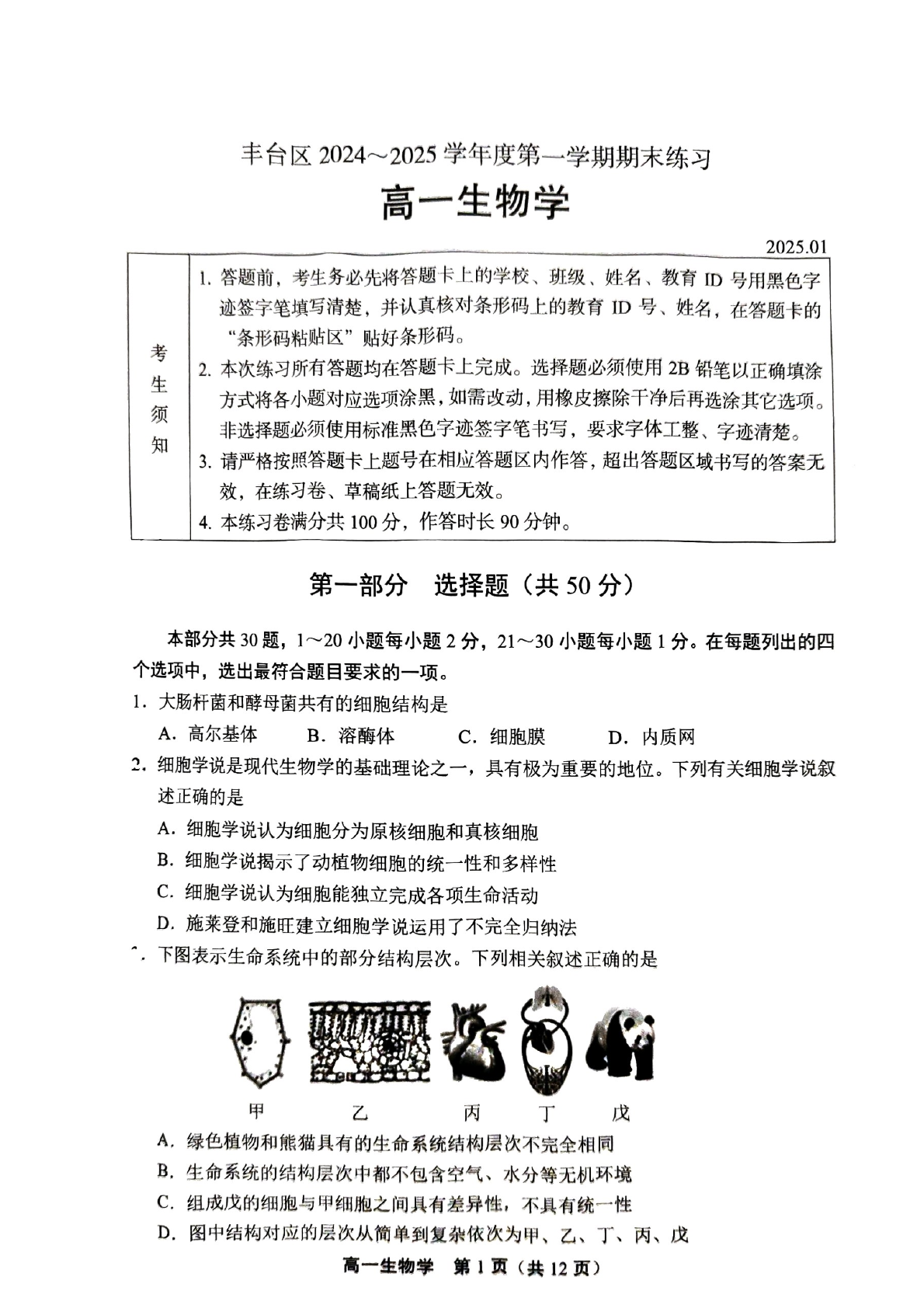 2024-2025学年北京丰台区高一上学期期末生物试题及答案