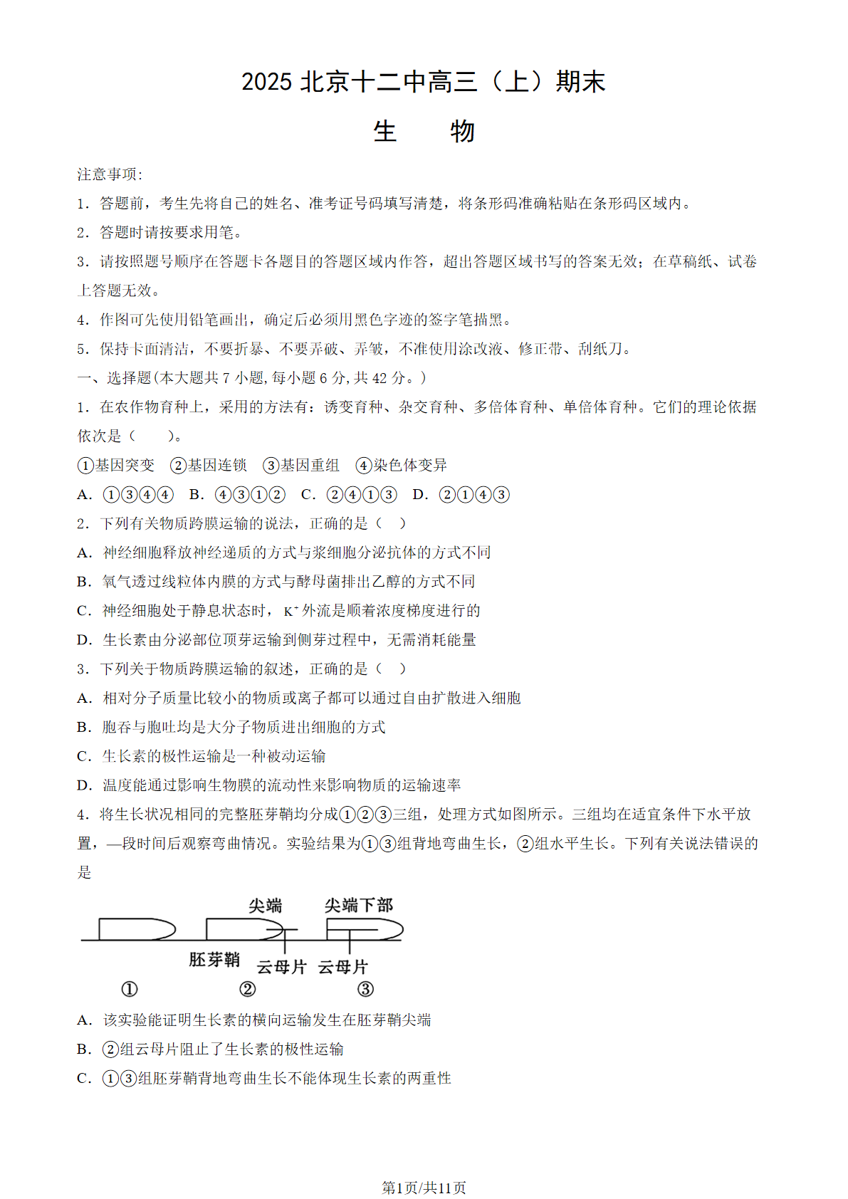 2024-2025学年北京十二中高三期末生物试题及答案