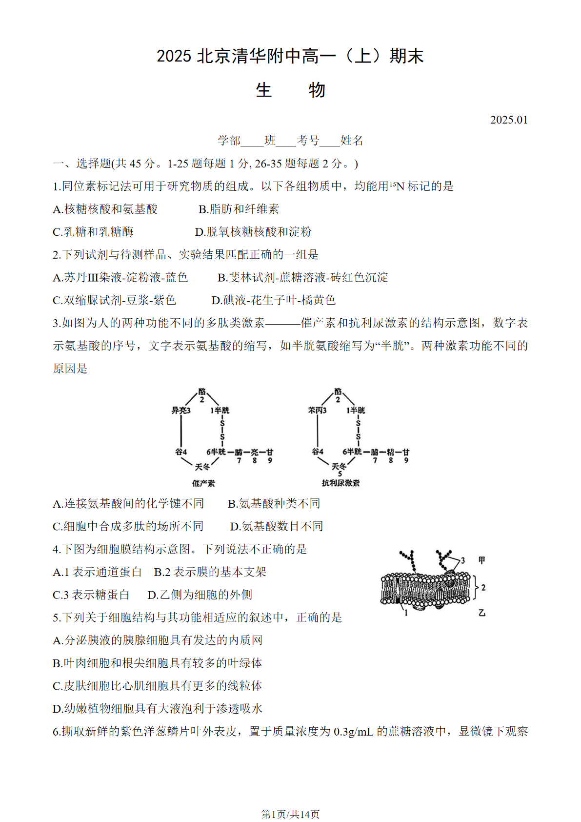 2024-2025学年北京清华附中高一上学期期末生物试题及答案