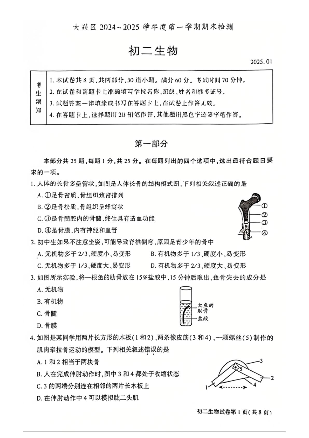 2024-2025学年北京大兴初二（上）期末生物试题及答案