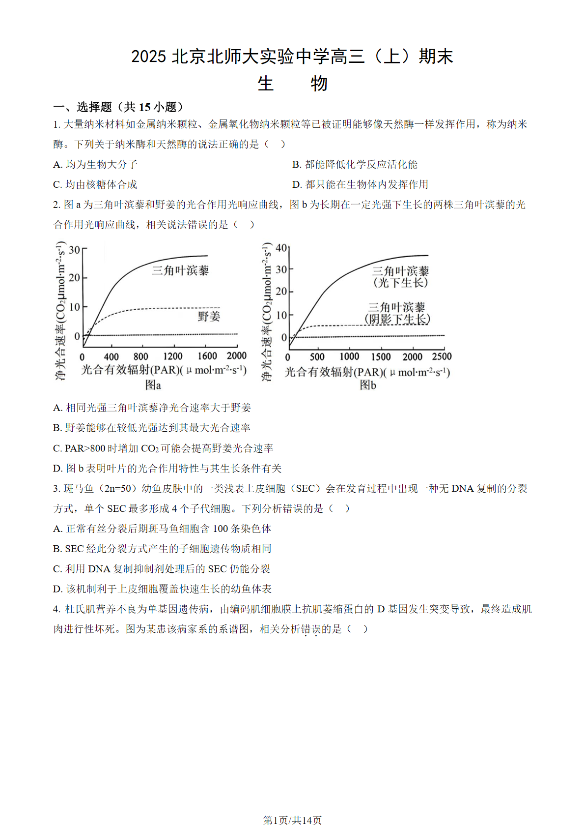 2024-2025学年北师大实验中学高三期末生物试题及答案