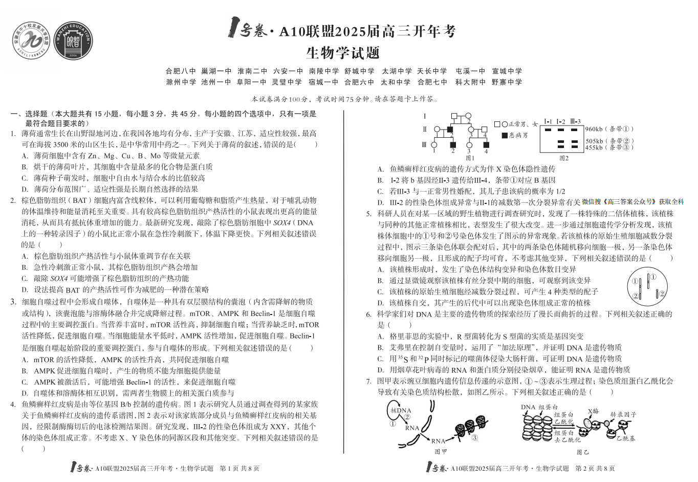 2025届安徽A10联盟高三2月开年考生物试题及答案