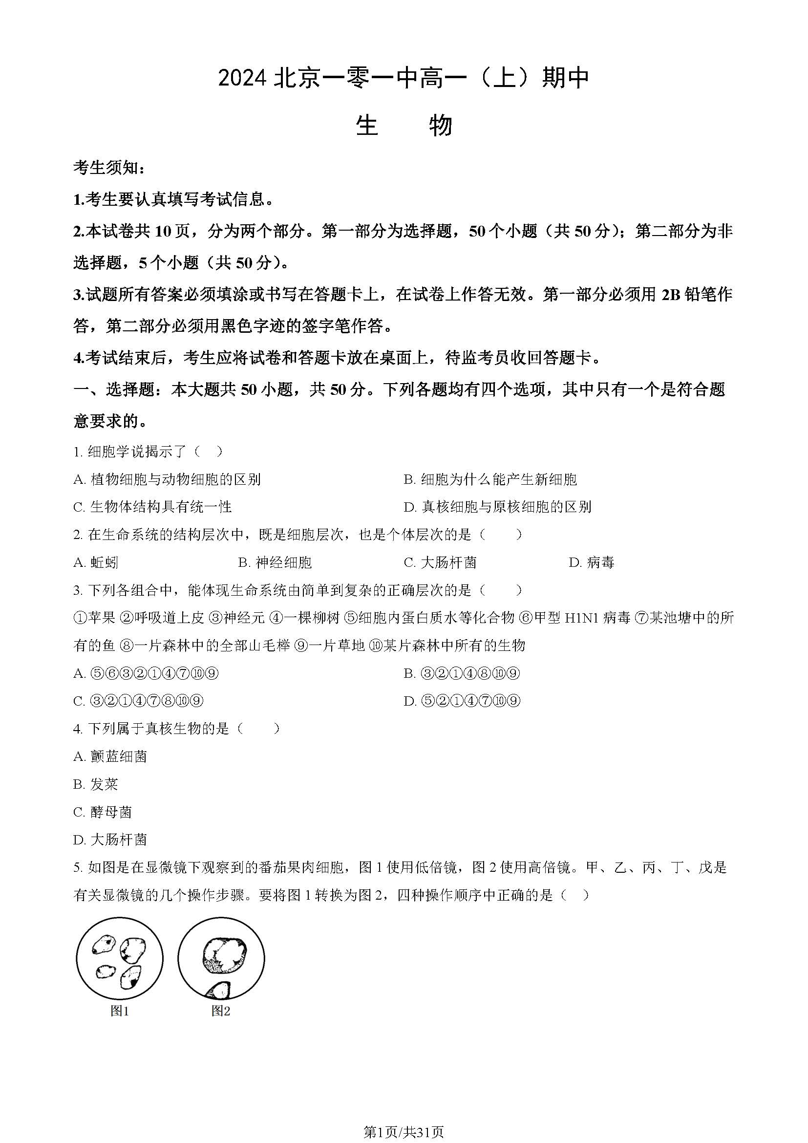 2024-2025学年北京一零一中学高一期中生物试题及答案