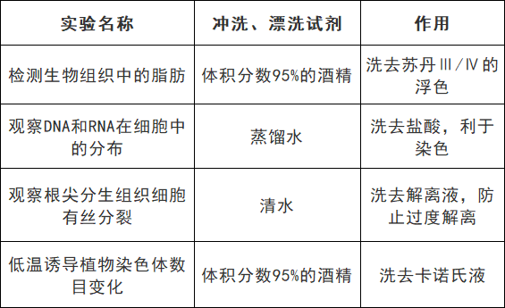 2025北京高考生物颜色反应知识点