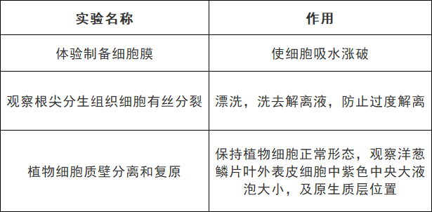 2025北京高考生物颜色反应知识点