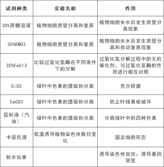2025北京高考生物颜色反应知识点