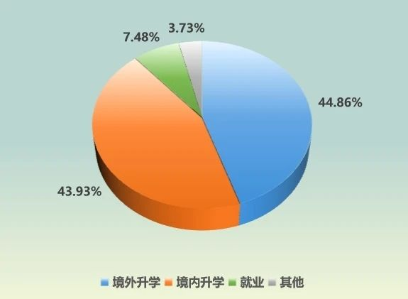 南方科技大学电子系2024届毕业生去向