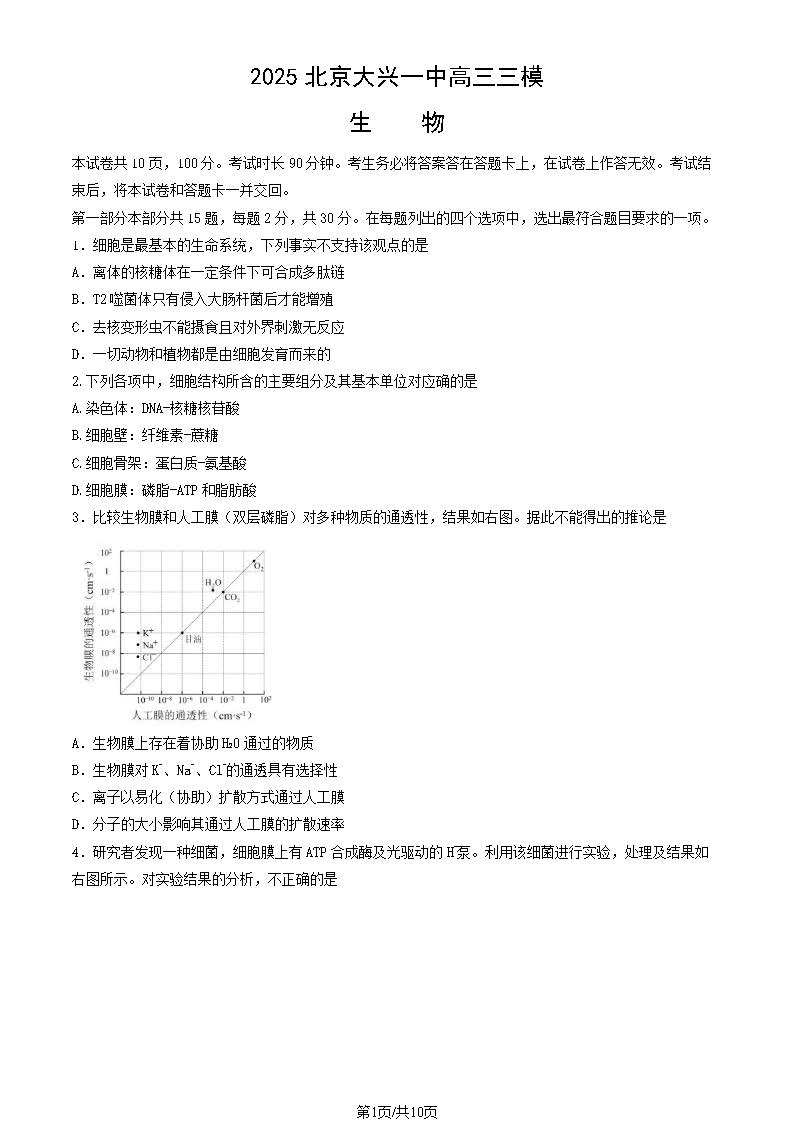 2025年北京大兴一中高三三模生物试题及答案