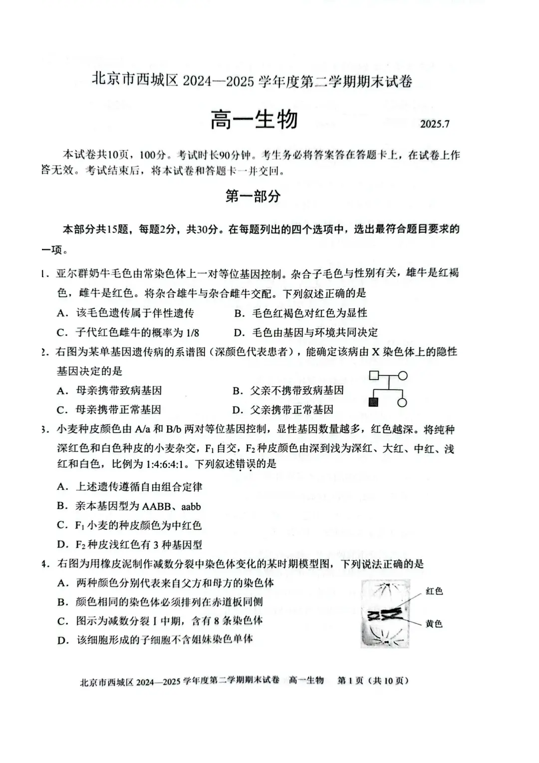 2025北京西城区高一下学期期末生物试题及答案