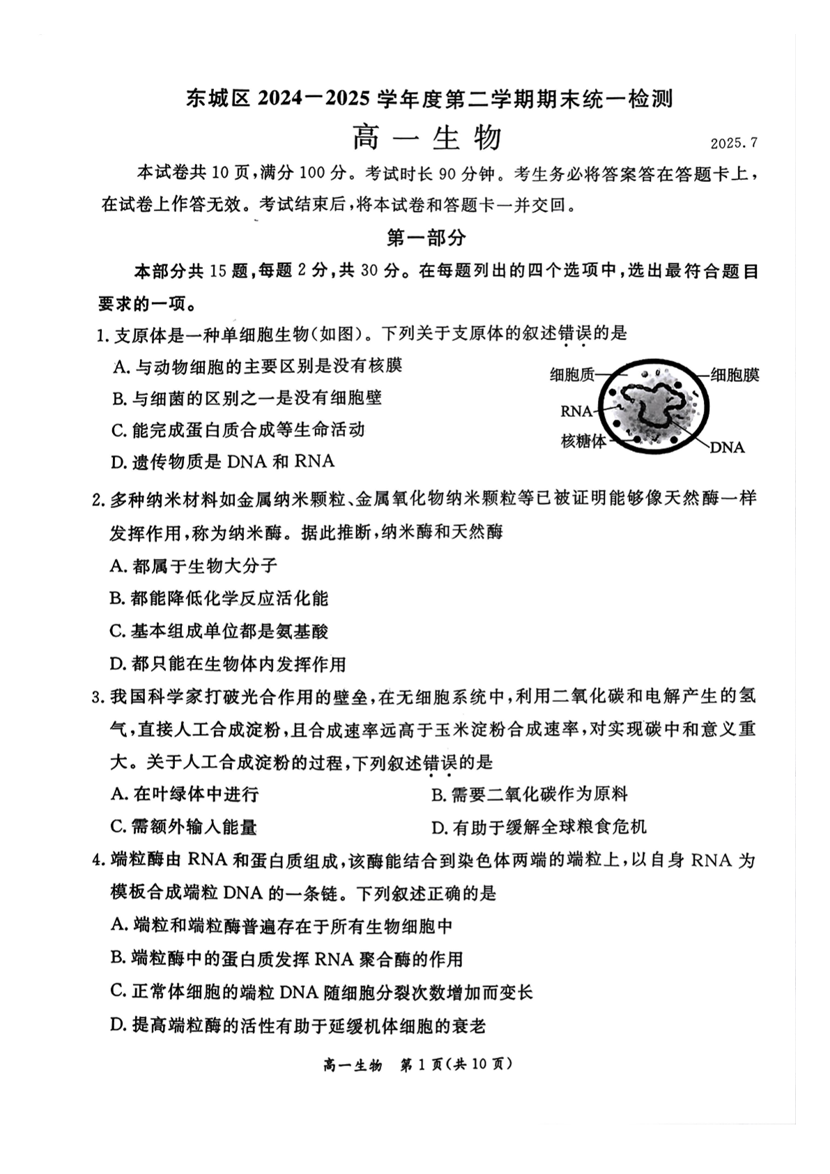 2025北京东城区高一下学期期末生物试题及答案