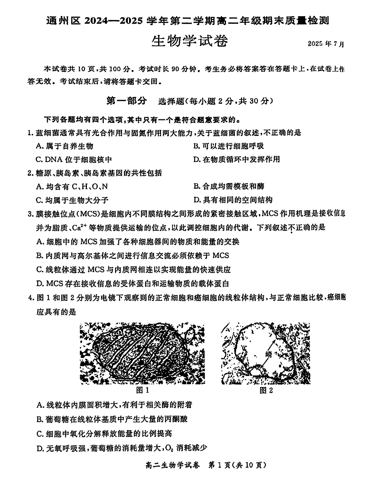 2025北京通州区高二下学期期末生物试题及答案