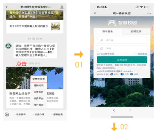 北京林业大学2025年新生入学指南（第二学士学位、华侨港澳台）