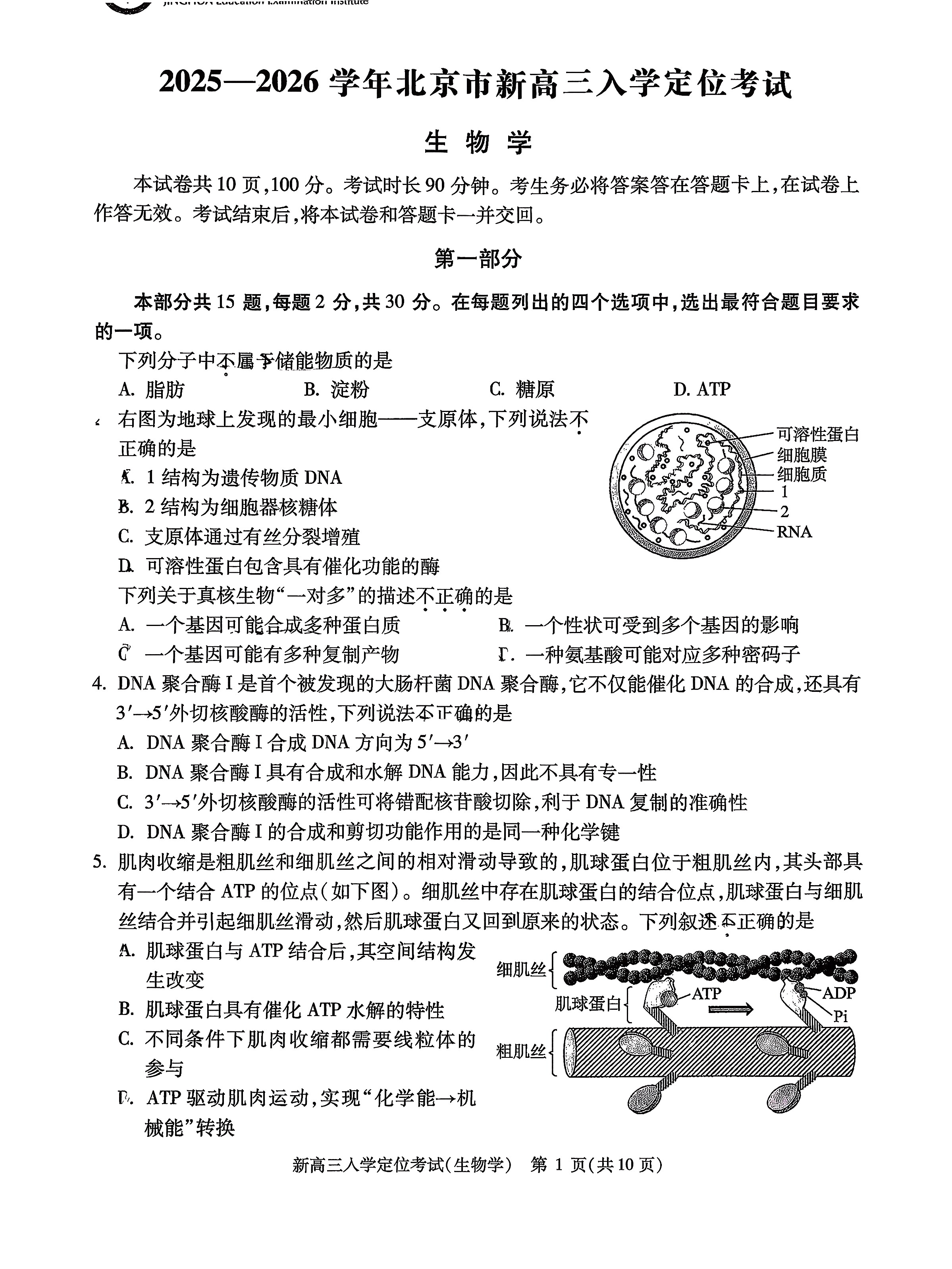 2025-2026学年北京高三（上）入学定位考生物试题及答案