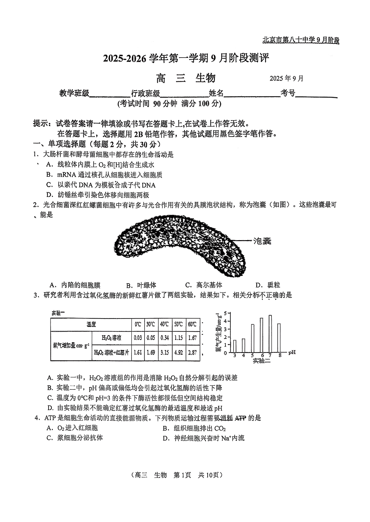 2025-2026学年北京八十中高三9月月考生物试题及答案