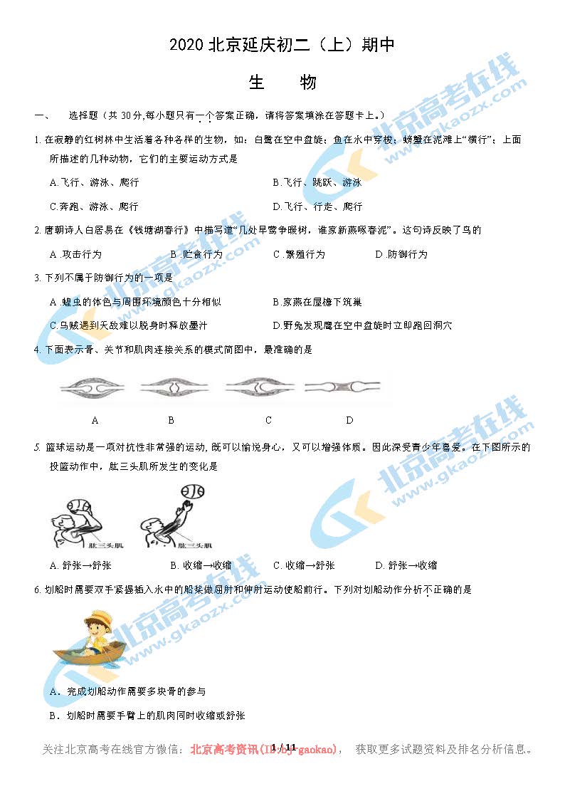 2020年北京延庆区初二（上）期中生物考试试题及答案