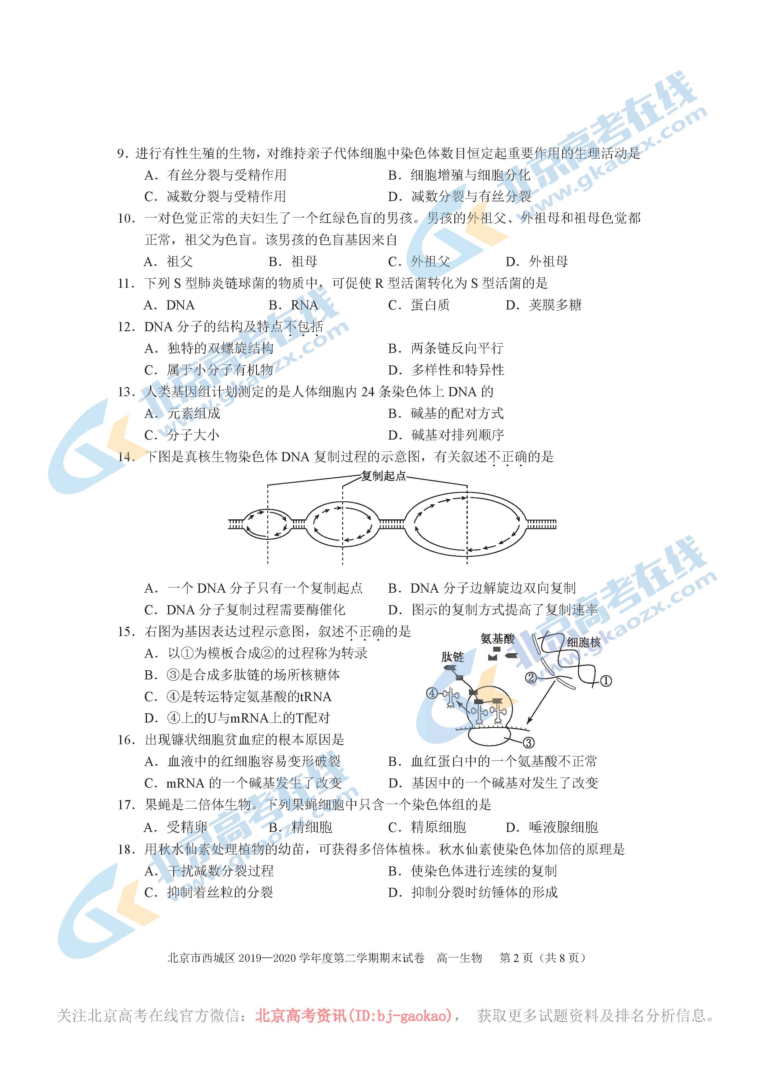 西城区2019—2020学年第二学期期末高一生物试题