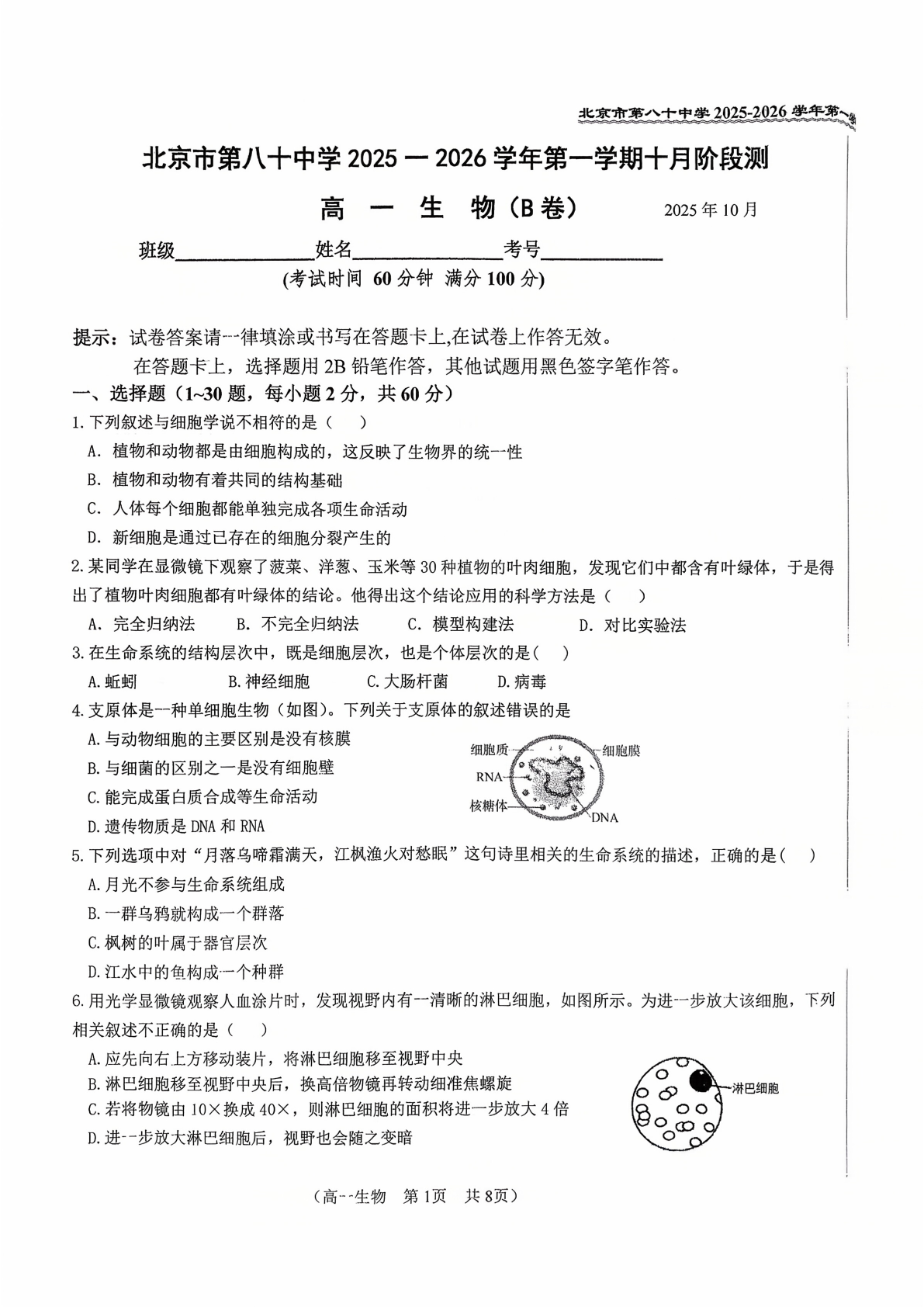 2025-2026学年北京八十中高一10月月考生物试题及答案