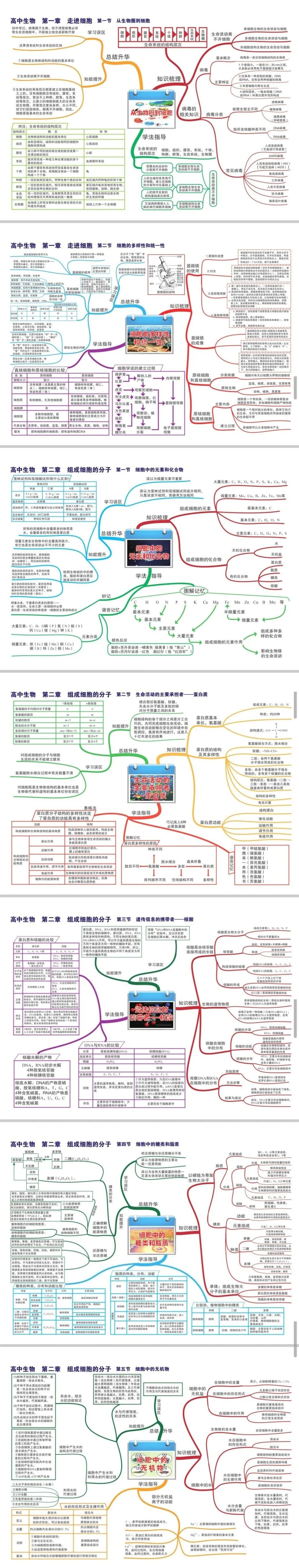 2026北京高考高中生物全套思维导图