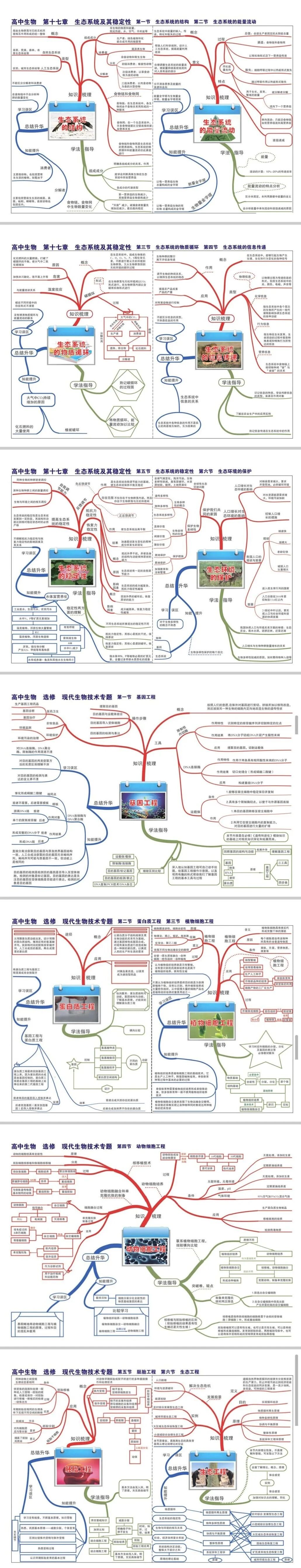 2026北京高考高中生物全套思维导图