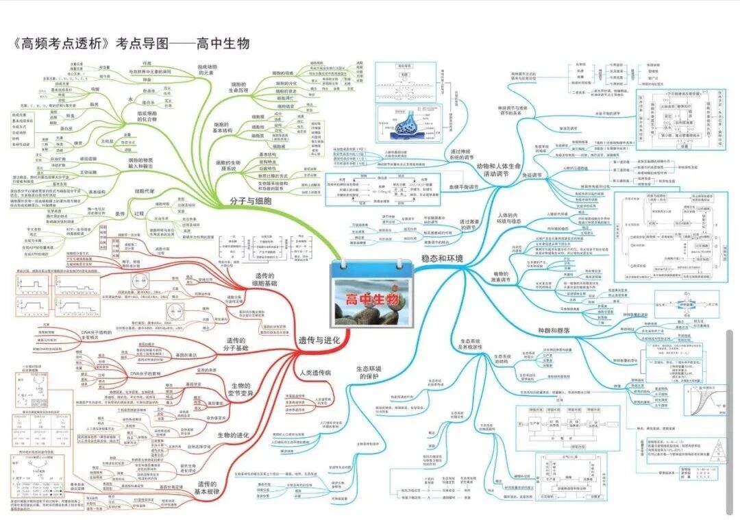 2026北京高考高中生物全套思维导图