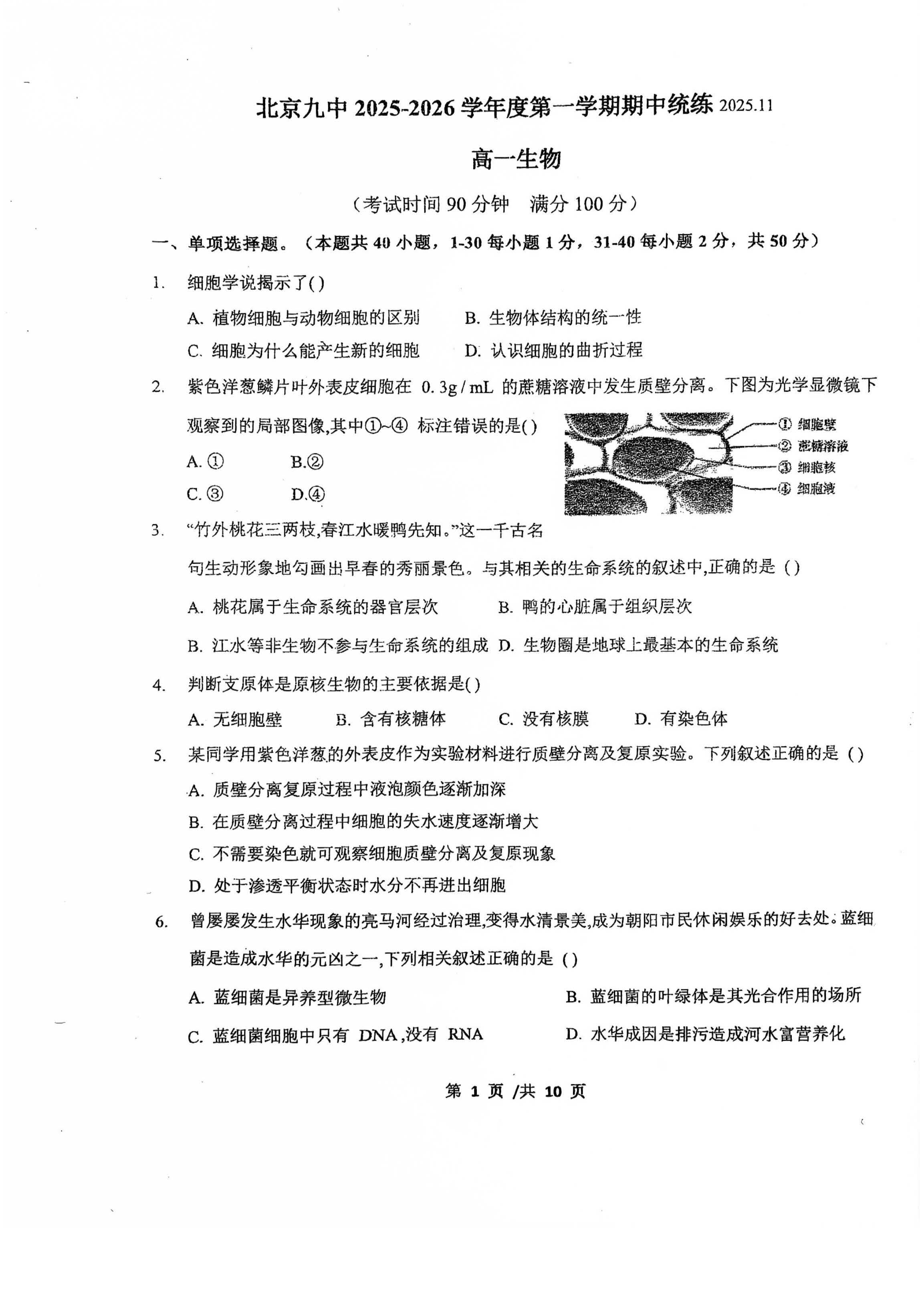 2025-2026学年北京九中高一期中生物试题及答案