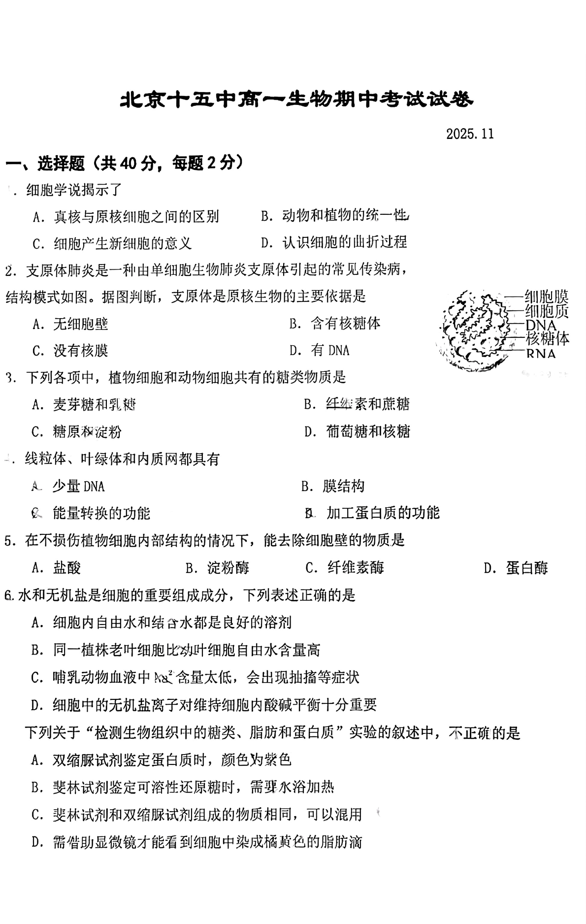 2025-2026学年北京十五中高一上学期期中生物试题及答案