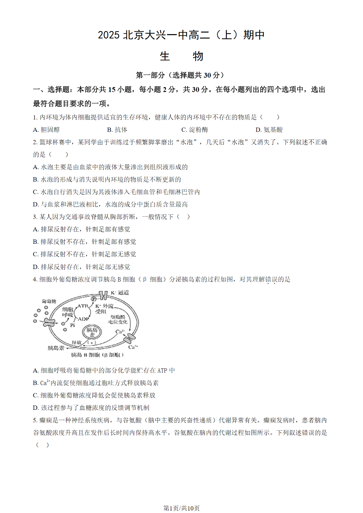 2025-2026学年北京大兴一中高二上学期期中生物试题及答案
