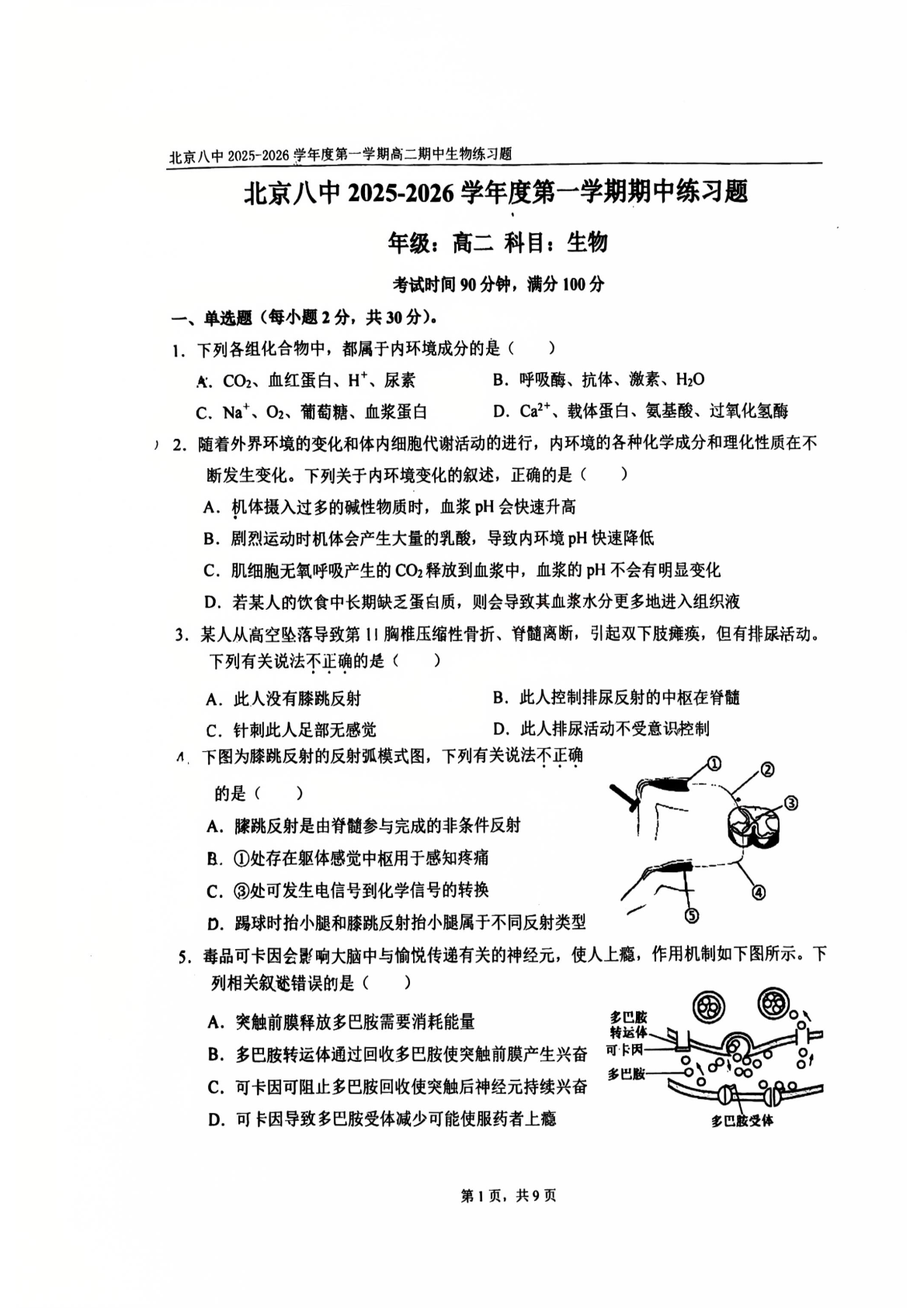 2025-2026学年北京八中高二上学期期中生物试题及答案