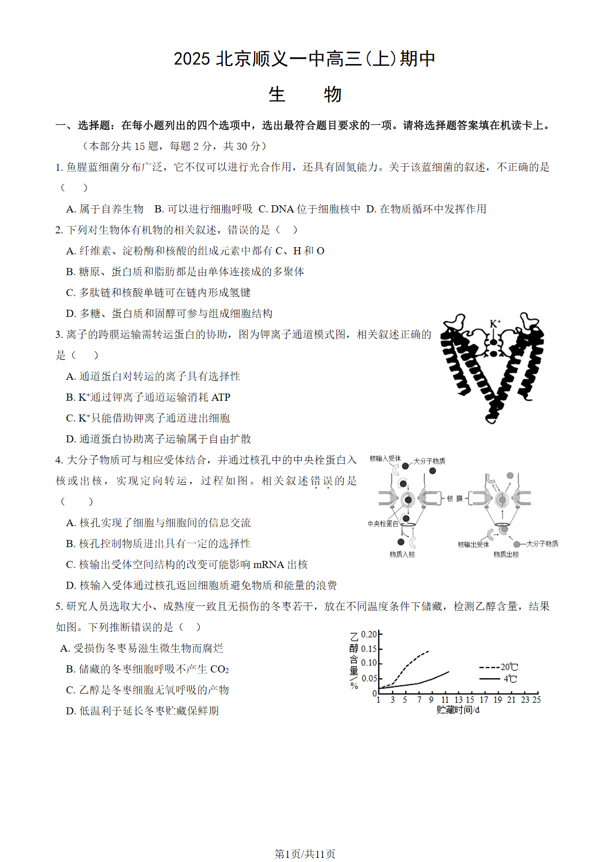 2025-2026学年北京顺义一中高三期中生物试题及答案