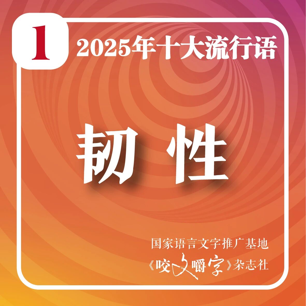 2026高考知识点:2025年十大流行语