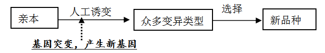 2026北京高考生物几种育种原理及方法分析