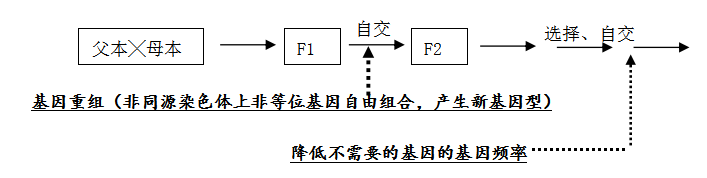2026北京高考生物几种育种原理及方法分析