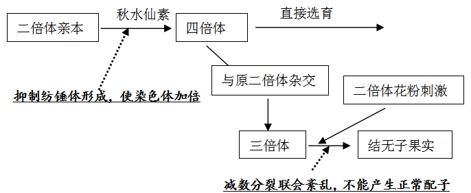 2026北京高考生物几种育种原理及方法分析