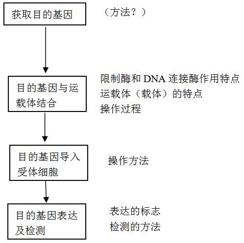 2026北京高考生物几种育种原理及方法分析