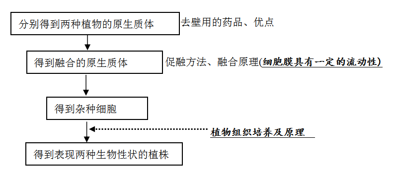 2026北京高考生物几种育种原理及方法分析