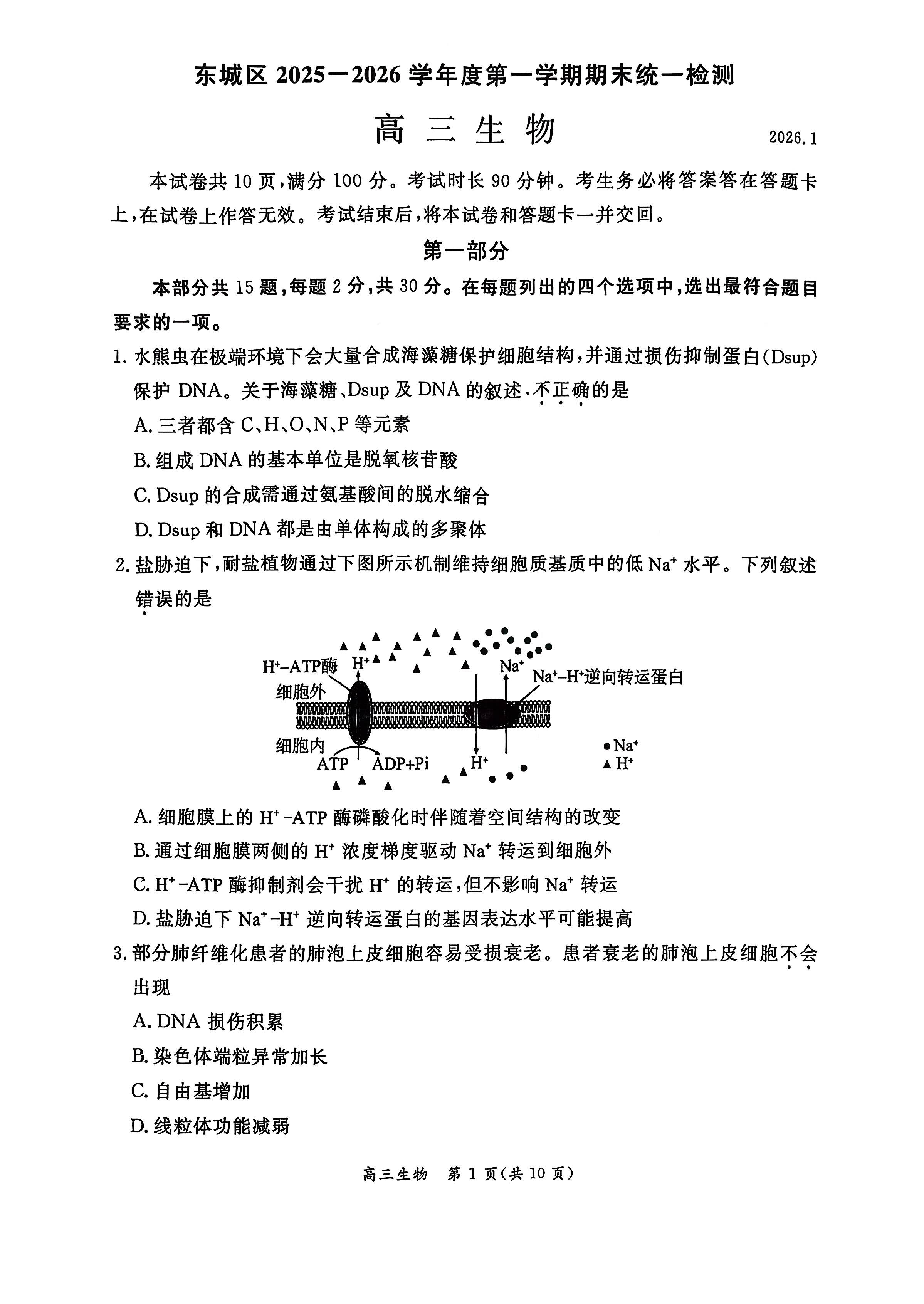 2025-2026学年北京东城高三上学期期末生物试题及答案